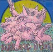 JAROMÍR NOHAVICA, DÁRKY