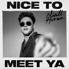 NIALL HORAN, NICE TO MEET YA