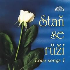 VĚRA ŠPINAROVÁ, JEDNOHO DNE SE VRÁTÍŠ