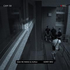 ISSA ME MARIO & HUMLA, Sorry bro