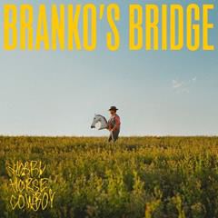 BRANKO'S BRIDGE, Social Guy