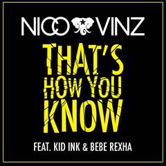 NICO AND VINZ FEAT. KID INK AND BEBE REXHA, THAT'S HOW YOU KNOW