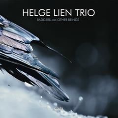 HELGE LIEN TRIO, Hoggormen