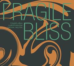 TOMÁŠ LIŠKA & LUBOŠ MALINA & MICHAL NEJTEK, Fragile Bliss