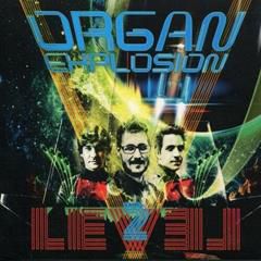 ORGAN EXPLOSION, Lugg Song