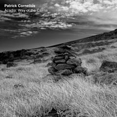PATRICK CORNELIUS, On the Precipice