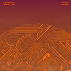 CHRIS POTTER, The Peanut