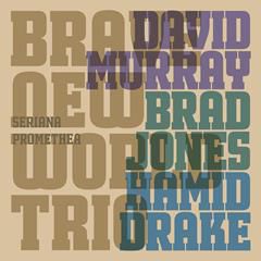 DAVID MURRAY BRAVE NEW WORLD TRIO, If You Want Me To Stay