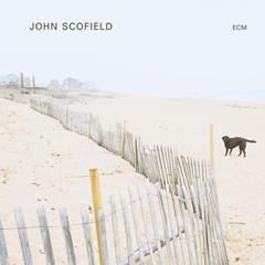 JOHN SCOFIELD, It Could Happen To You