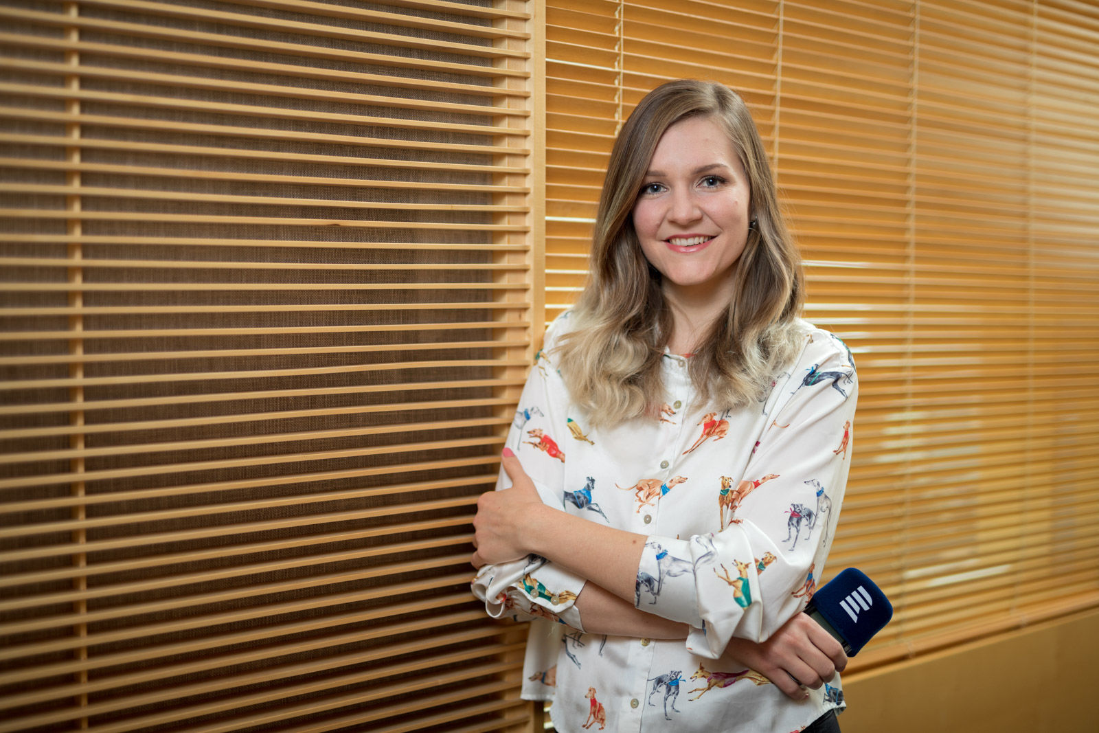 Obrázek Den ve Zlínském kraji - host, Reprezentativní budovy, vily významných zlínských…